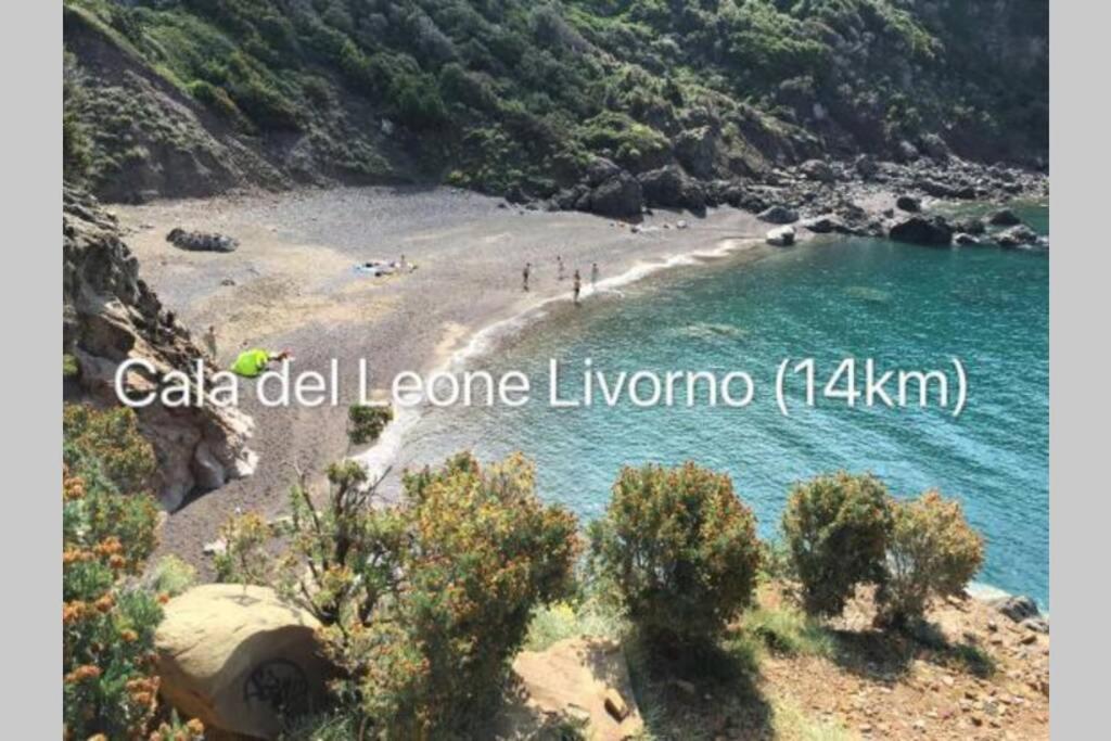 Acqua Marina: Appartamento Livorno centro Esterno foto